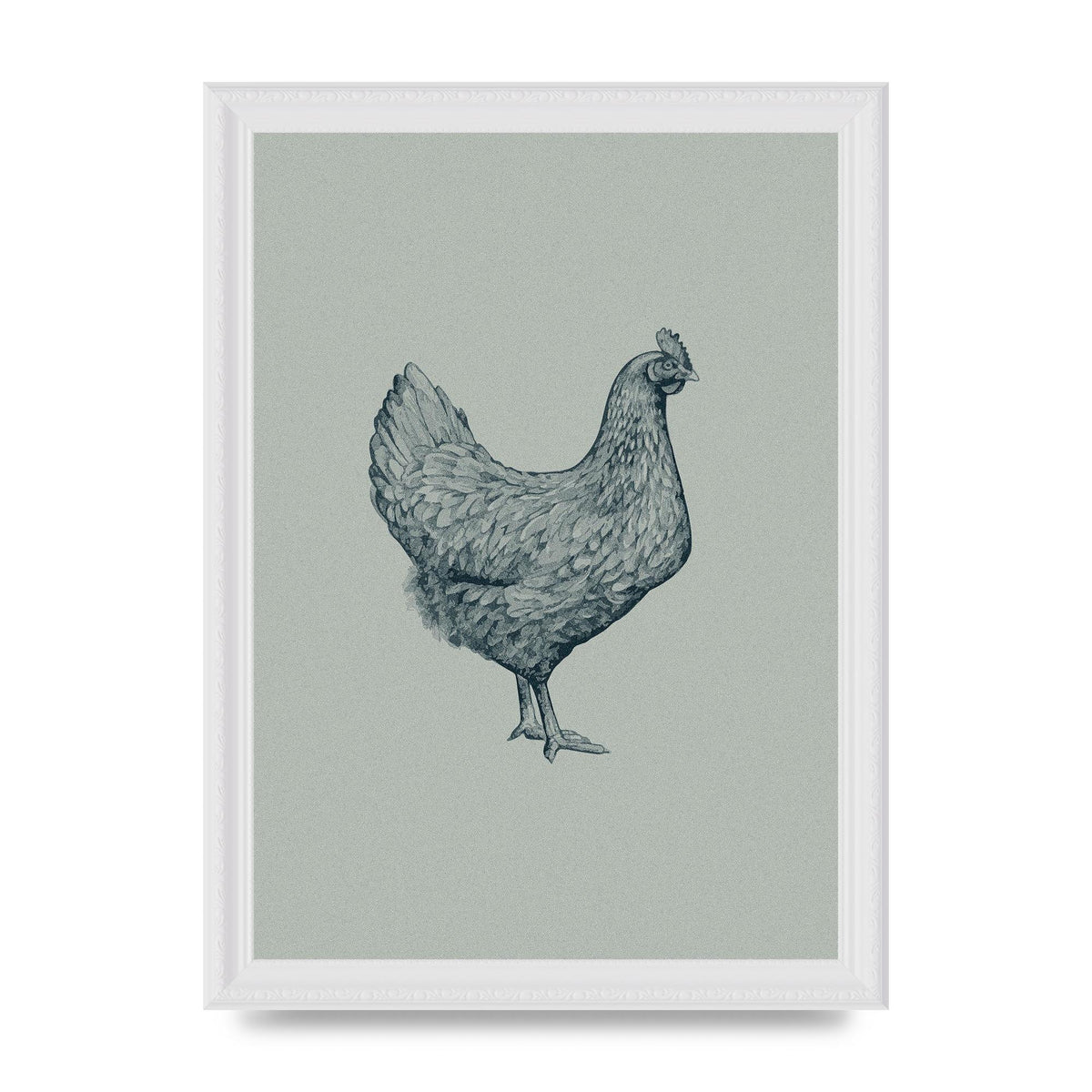 Chicken Illustration Printed Poster - A4 framed