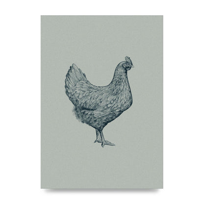 Chicken Illustration Printed Poster - unframed print