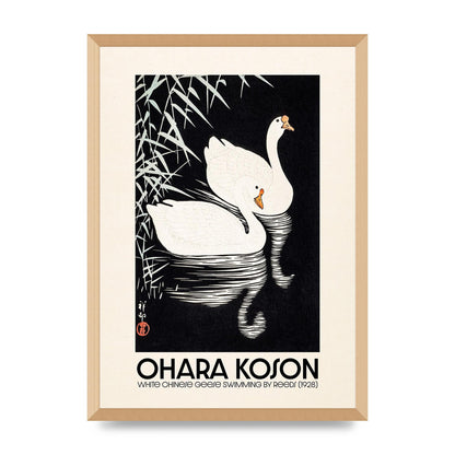 Ohara Koson White Chinese Geese Swimming By Reeds 1928 Printed Poster - A2 framed