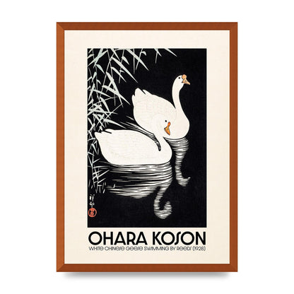 Ohara Koson White Chinese Geese Swimming By Reeds 1928 Printed Poster - A2 framed