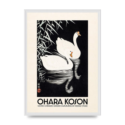 Ohara Koson White Chinese Geese Swimming By Reeds 1928 Printed Poster - A2 framed