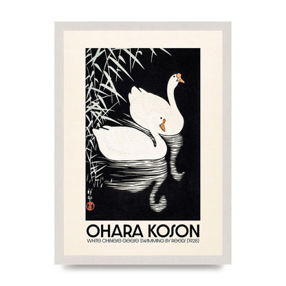 Ohara Koson White Chinese Geese Swimming By Reeds 1928 Printed Poster - A3 framed