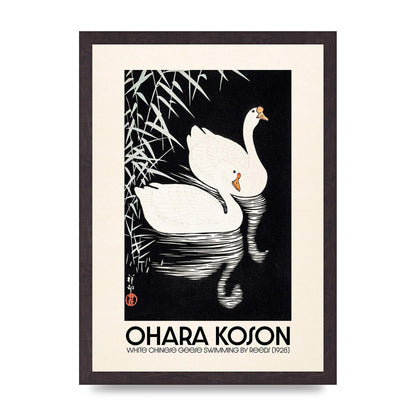 Ohara Koson White Chinese Geese Swimming By Reeds 1928 Printed Poster - A3 framed