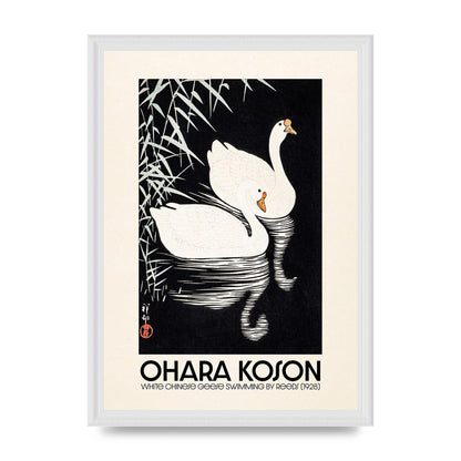 Ohara Koson White Chinese Geese Swimming By Reeds 1928 Printed Poster - A3 framed