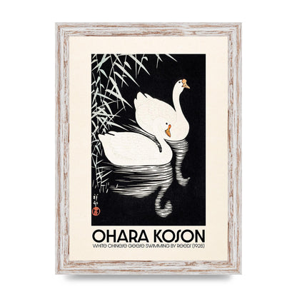 Ohara Koson White Chinese Geese Swimming By Reeds 1928 Printed Poster - A4 framed