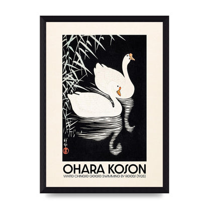Ohara Koson White Chinese Geese Swimming By Reeds 1928 Printed Poster - A4 framed
