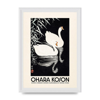 Ohara Koson White Chinese Geese Swimming By Reeds 1928 Printed Poster - A4 framed