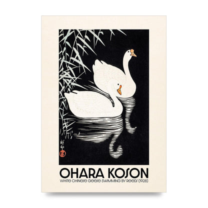 Ohara Koson White Chinese Geese Swimming By Reeds 1928 Printed Poster - unframed print