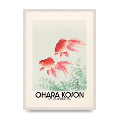 Ohara Koson Two Veil Goldfish 1926 Art For The Home - A2 framed