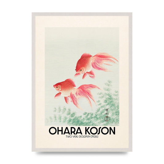 Ohara Koson Two Veil Goldfish 1926 Art For The Home - A2 framed