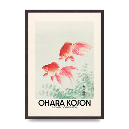 Ohara Koson Two Veil Goldfish 1926 Art For The Home - A2 framed