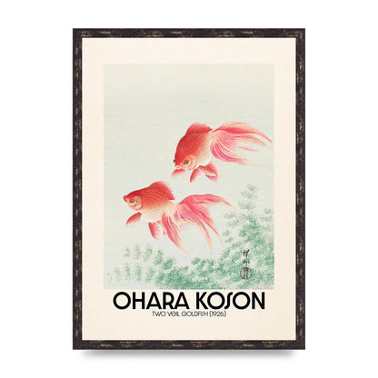 Ohara Koson Two Veil Goldfish 1926 Art For The Home - A2 framed