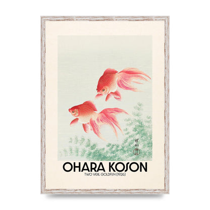 Ohara Koson Two Veil Goldfish 1926 Art For The Home - A2 framed