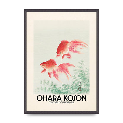 Ohara Koson Two Veil Goldfish 1926 Art For The Home - A2 framed