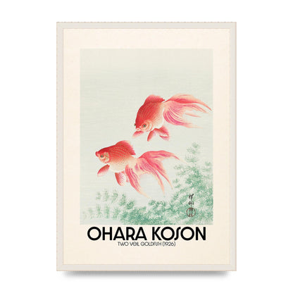 Ohara Koson Two Veil Goldfish 1926 Art For The Home - A2 framed