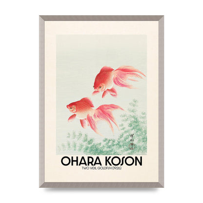 Ohara Koson Two Veil Goldfish 1926 Art For The Home - A2 framed