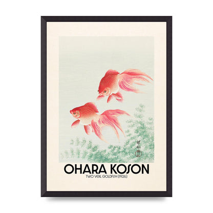 Ohara Koson Two Veil Goldfish 1926 Art For The Home - A2 framed