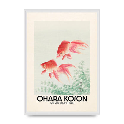 Ohara Koson Two Veil Goldfish 1926 Art For The Home - A2 framed