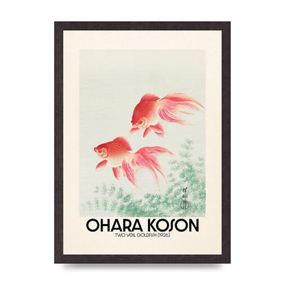 Ohara Koson Two Veil Goldfish 1926 Art For The Home - A3 framed