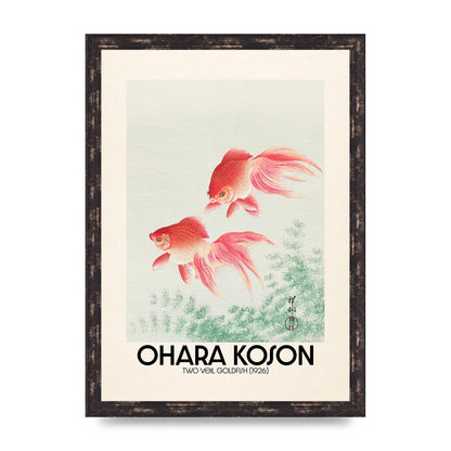 Ohara Koson Two Veil Goldfish 1926 Art For The Home - A3 framed