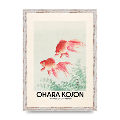 Ohara Koson Two Veil Goldfish 1926 Art For The Home - A3 framed