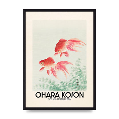 Ohara Koson Two Veil Goldfish 1926 Art For The Home - A3 framed