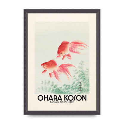 Ohara Koson Two Veil Goldfish 1926 Art For The Home - A3 framed