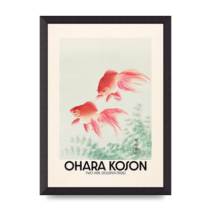 Ohara Koson Two Veil Goldfish 1926 Art For The Home - A3 framed