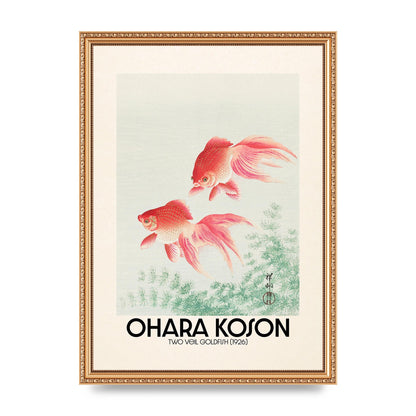 Ohara Koson Two Veil Goldfish 1926 Art For The Home - A3 framed