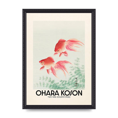 Ohara Koson Two Veil Goldfish 1926 Art For The Home - A3 framed