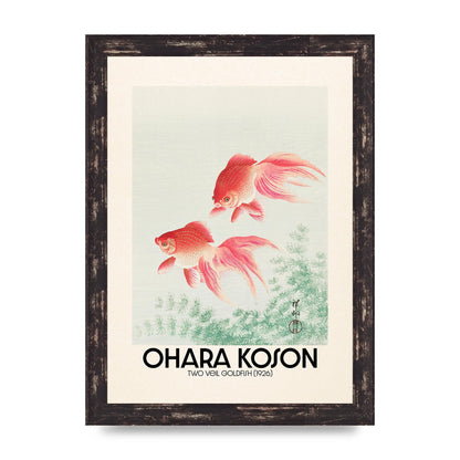 Ohara Koson Two Veil Goldfish 1926 Art For The Home - A4 framed