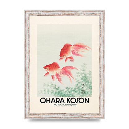 Ohara Koson Two Veil Goldfish 1926 Art For The Home - A4 framed