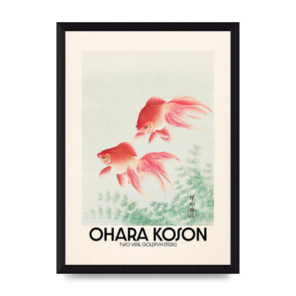 Ohara Koson Two Veil Goldfish 1926 Art For The Home - A4 framed