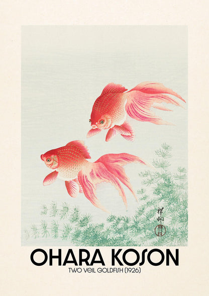 Ohara Koson Two Veil Goldfish 1926 Art For The Home - detail