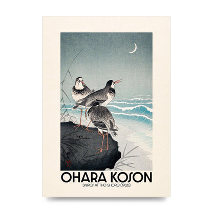 Ohara Koson Snipes At The Shore 1926 Printed Poster - unframed print