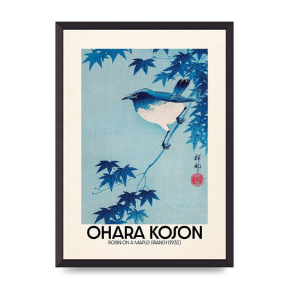 Ohara Koson Robin On A Maple Branch 1935 Wall Art - A2 framed