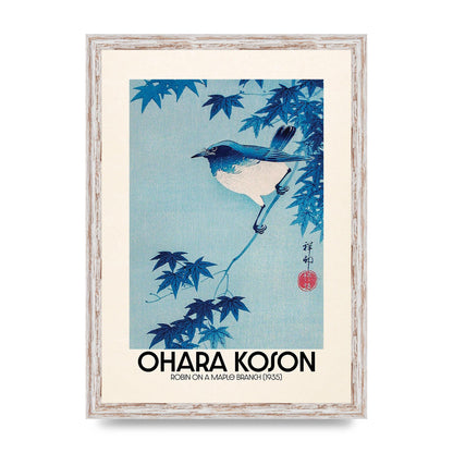 Ohara Koson Robin On A Maple Branch 1935 Wall Art - A3 framed