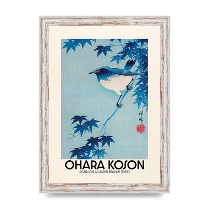 Ohara Koson Robin On A Maple Branch 1935 Wall Art - A4 framed