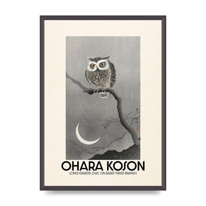 Ohara Koson Long Eared Owl On Bare Tree Branch Art For The Home - A2 framed