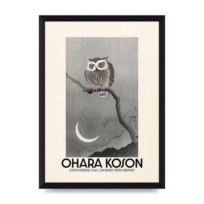 Ohara Koson Long Eared Owl On Bare Tree Branch Art For The Home - A4 framed