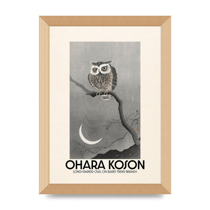 Ohara Koson Long Eared Owl On Bare Tree Branch Art For The Home - A4 framed