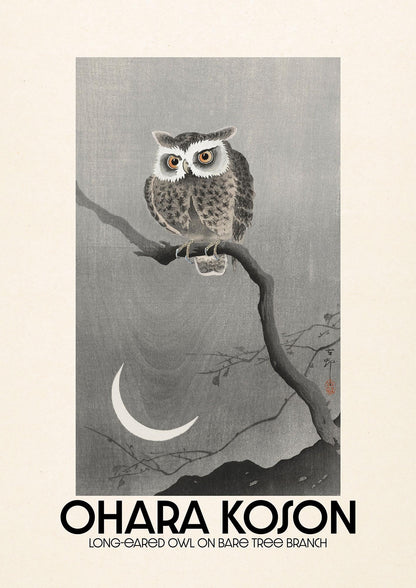 Ohara Koson Long Eared Owl On Bare Tree Branch Art For The Home - detail