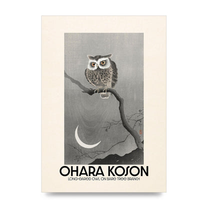 Ohara Koson Long Eared Owl On Bare Tree Branch Art For The Home - unframed print