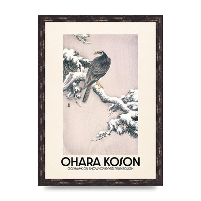 Ohara Koson Goshawk On Snow Covered Pine Bough Printed Poster - A3 framed