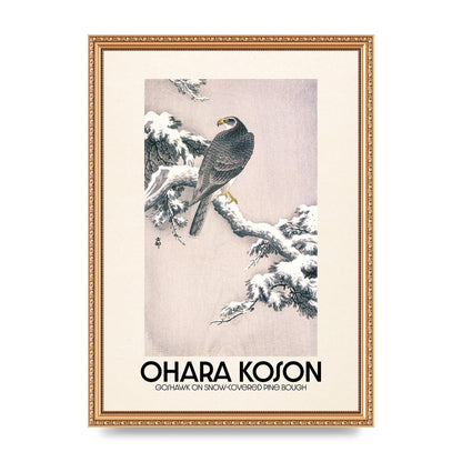 Ohara Koson Goshawk On Snow Covered Pine Bough Printed Poster - A3 framed