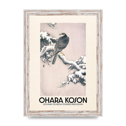 Ohara Koson Goshawk On Snow Covered Pine Bough Printed Poster - A4 framed