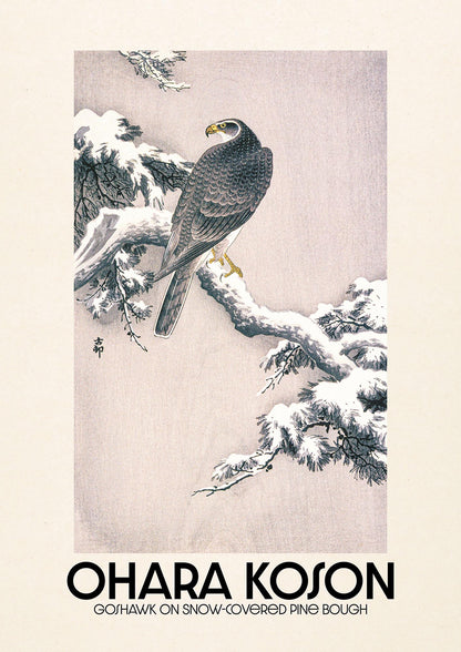 Ohara Koson Goshawk On Snow Covered Pine Bough Printed Poster - detail