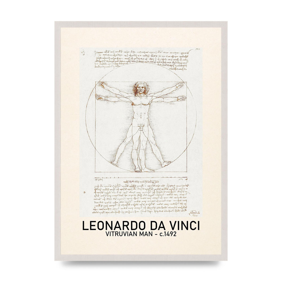 Leonardo Da Vinci Vitruvian Man 1492 print in an A2 white saw cut grain frame