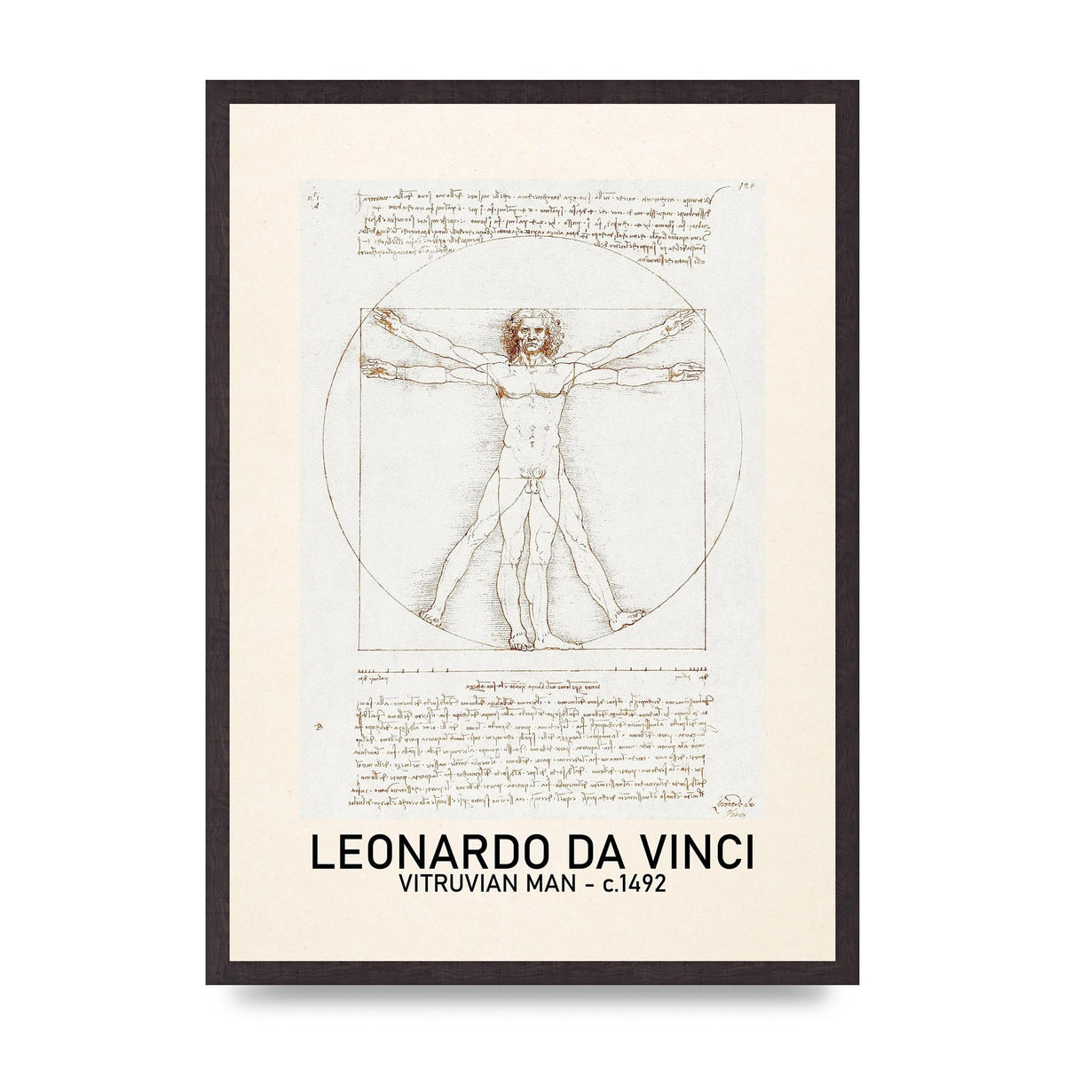 Leonardo Da Vinci Vitruvian Man 1492 Art For The Home - A2 framed
