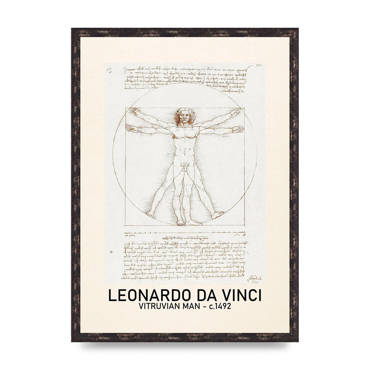 Leonardo Da Vinci Vitruvian Man 1492 Art For The Home - A2 framed